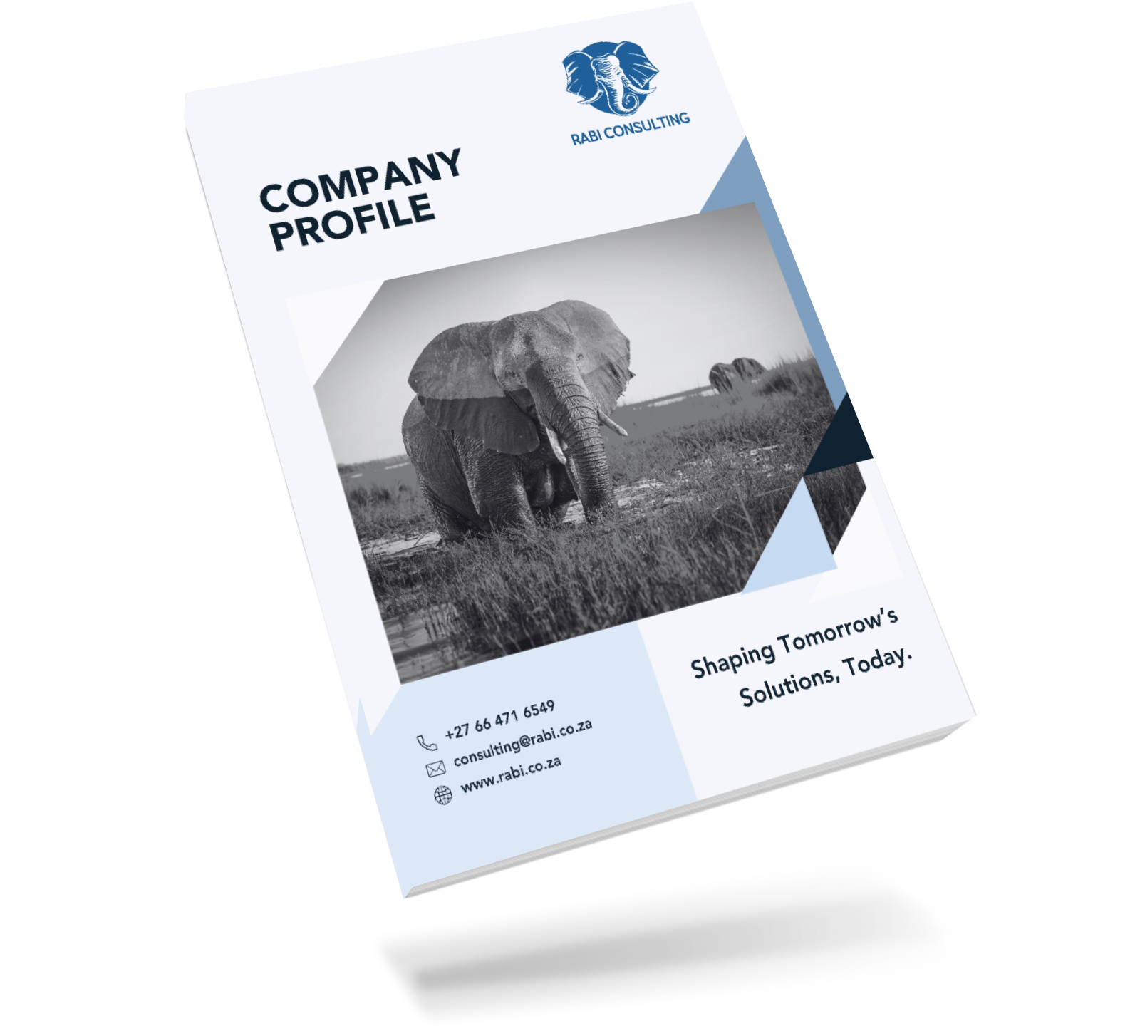 Rabi Consulting Company Profile